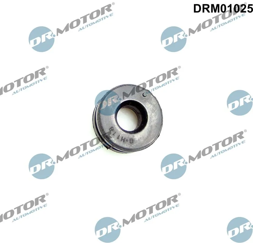 DR MOTOR DRM01025