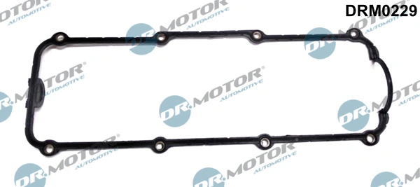 DR MOTOR DRM0229