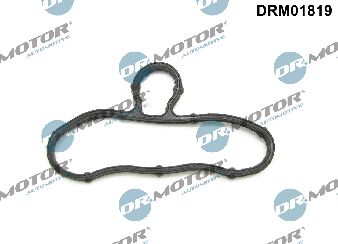 DR MOTOR DRM01819