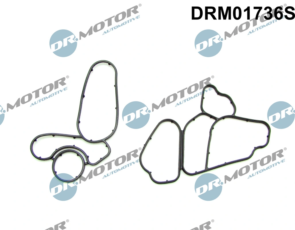 DR MOTOR DRM01736S