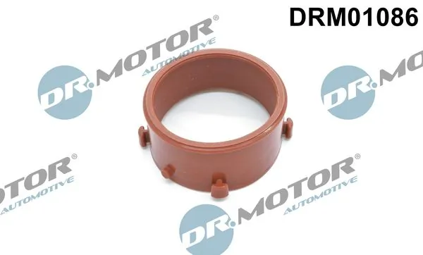 DR MOTOR DRM01086