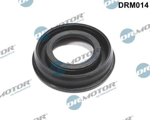 DR MOTOR DRM014