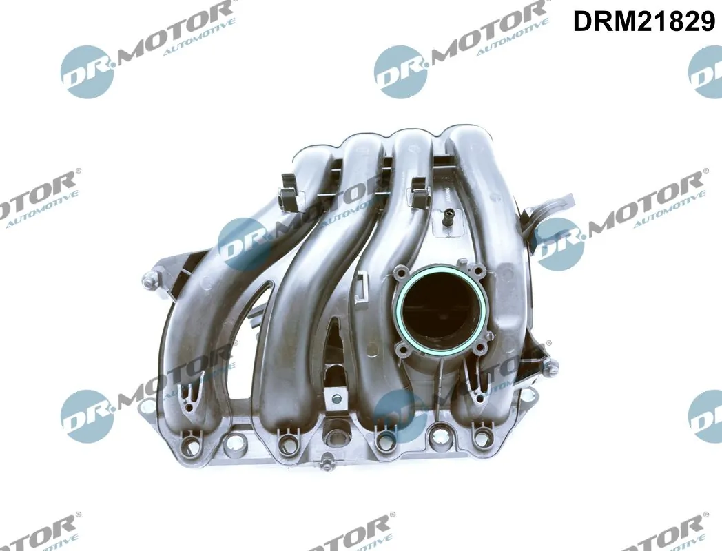 DR MOTOR DRM21829