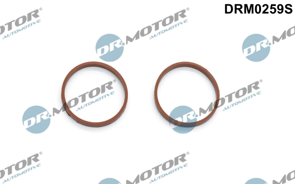 DR MOTOR DRM0259S