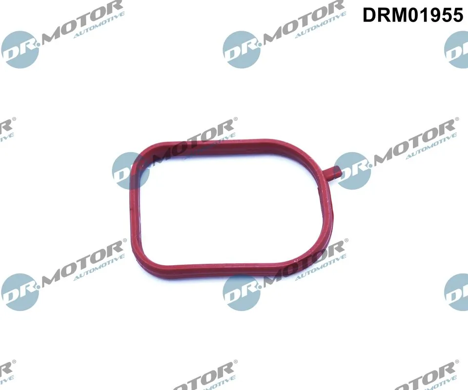 DR MOTOR DRM01955