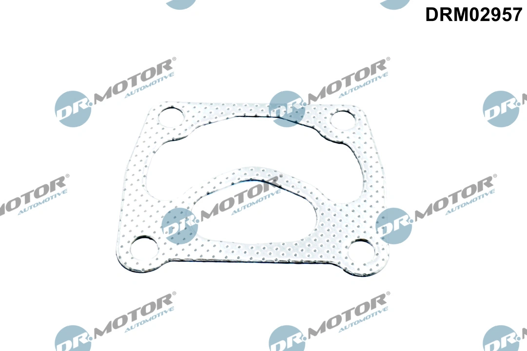 DR MOTOR DRM02957