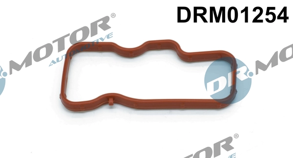 DR MOTOR DRM01254