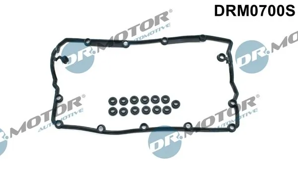 DR MOTOR DRM0700S