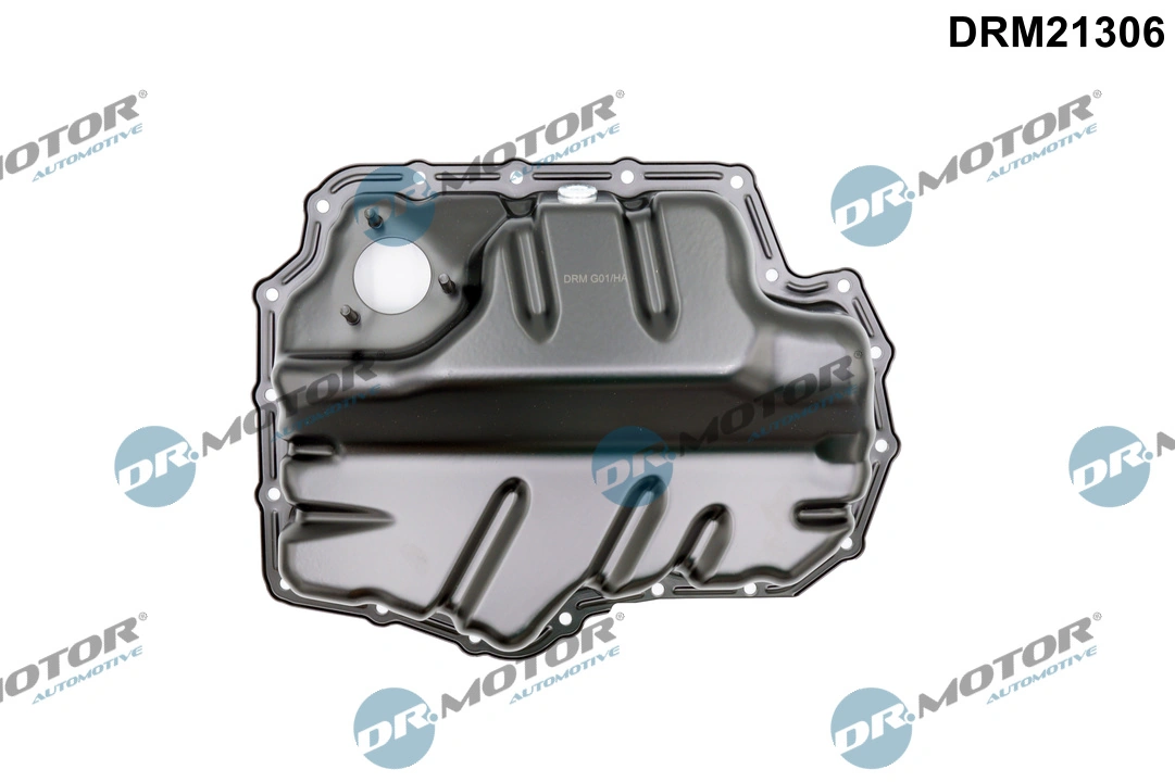 DR MOTOR DRM21306