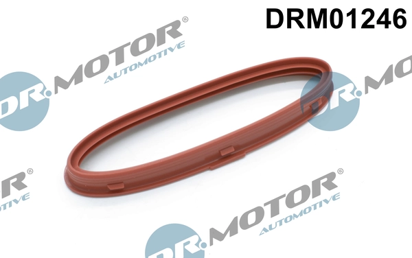DR MOTOR DRM01246