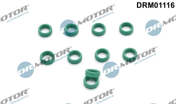 DR MOTOR DRM01116
