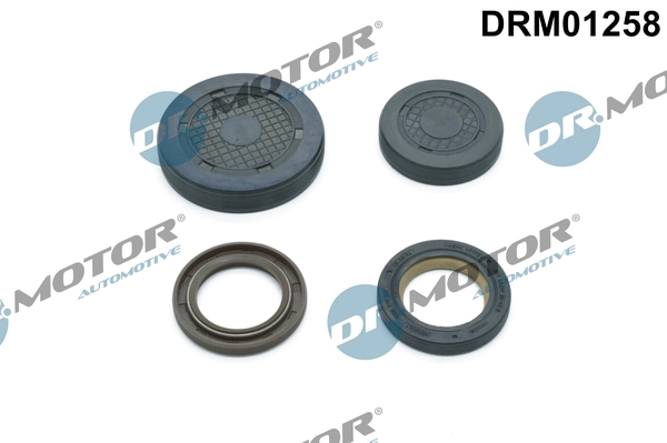 DR MOTOR DRM01258