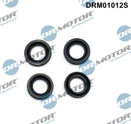 DR MOTOR DRM01012S