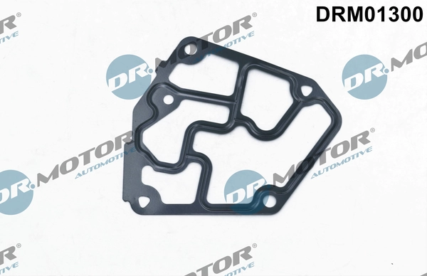 DR MOTOR DRM01300