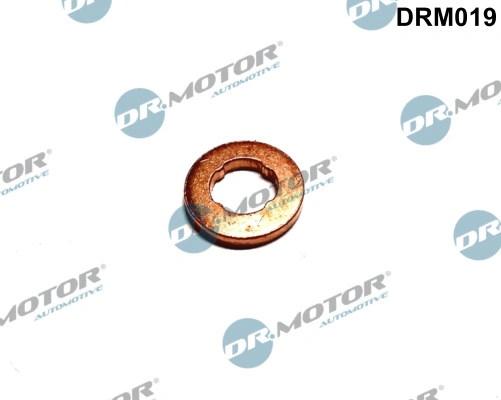 DR MOTOR DRM019