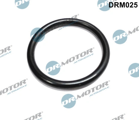 DR MOTOR DRM025