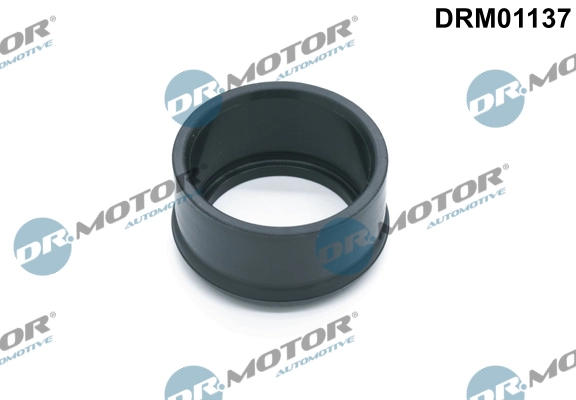 DR MOTOR DRM01137
