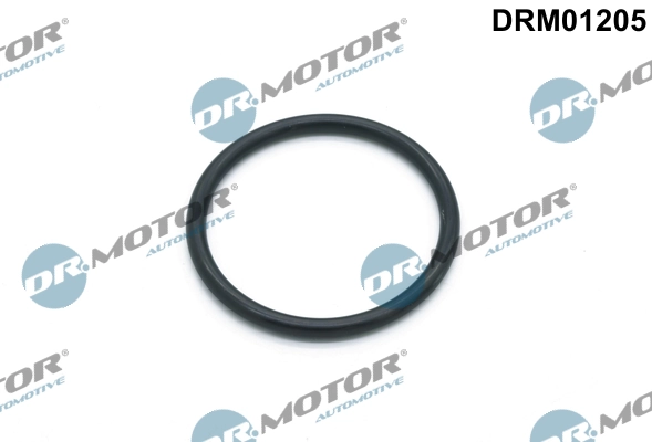 DR MOTOR DRM01205