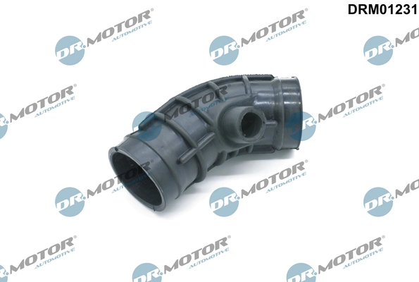 DR MOTOR DRM01231