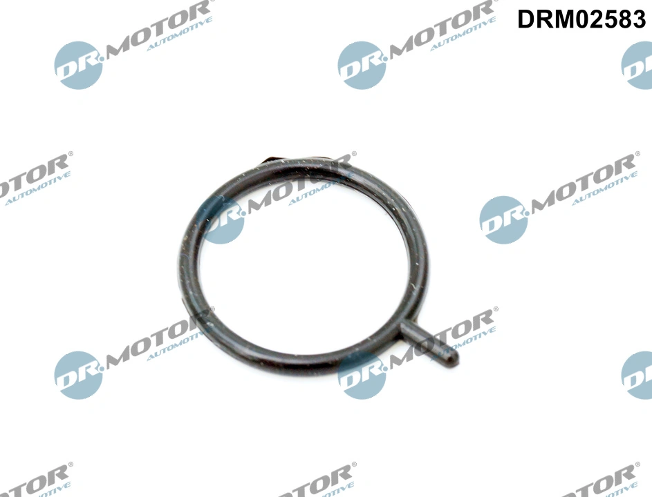 DR MOTOR DRM02583