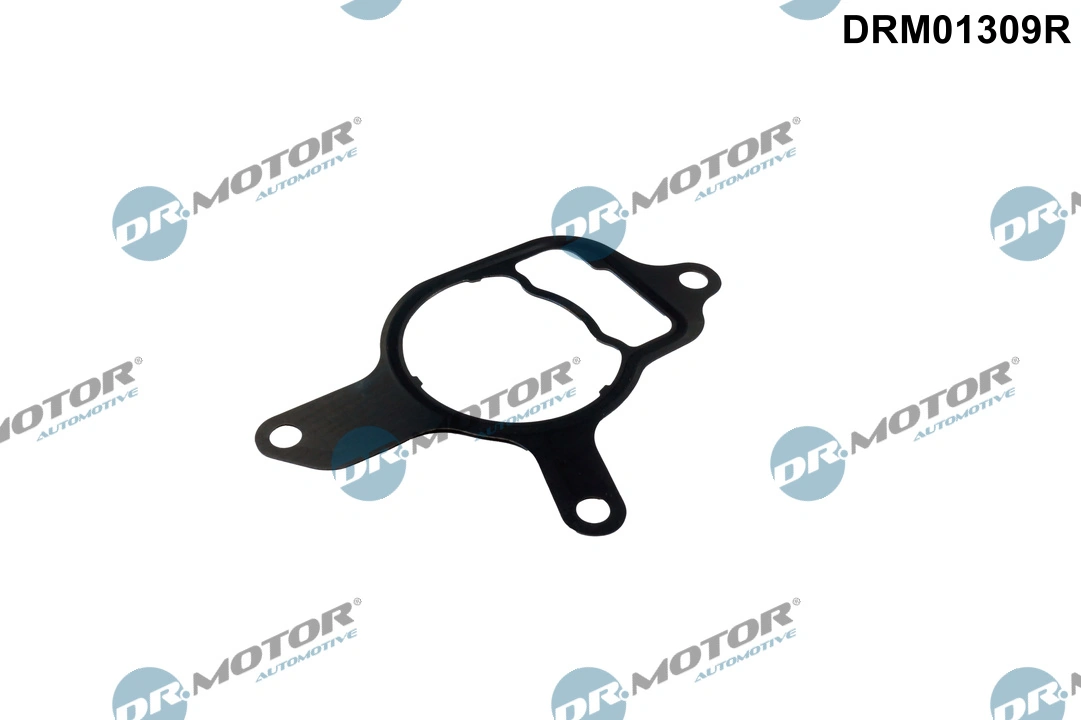 DR MOTOR DRM01309R