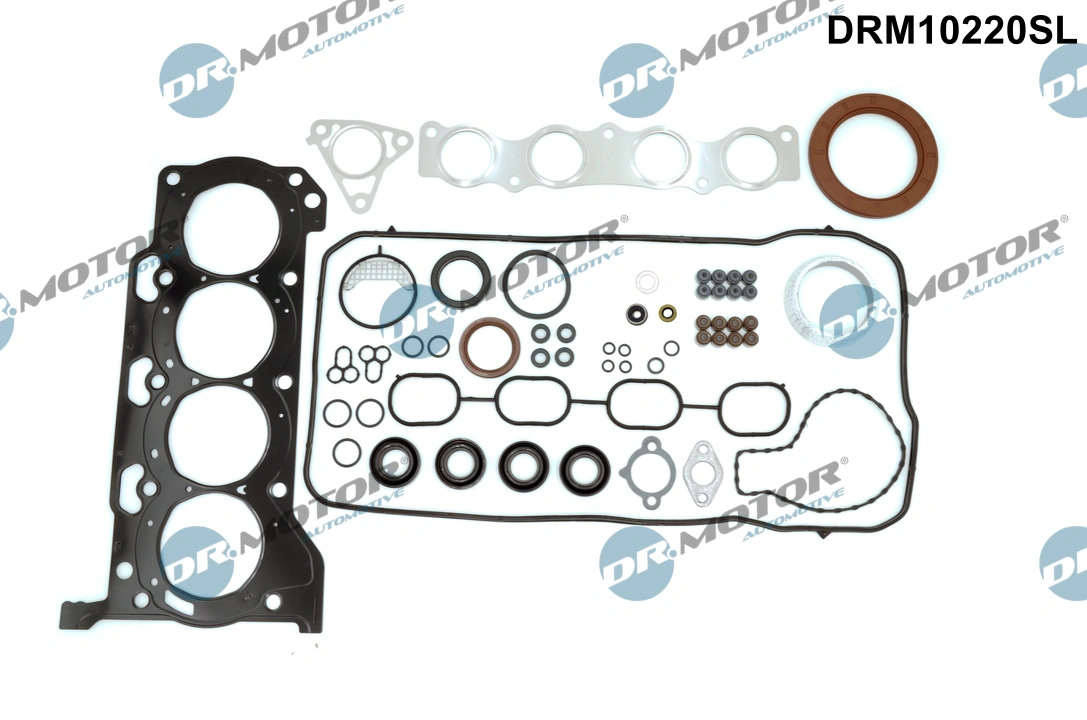 DR MOTOR DRM10220SL