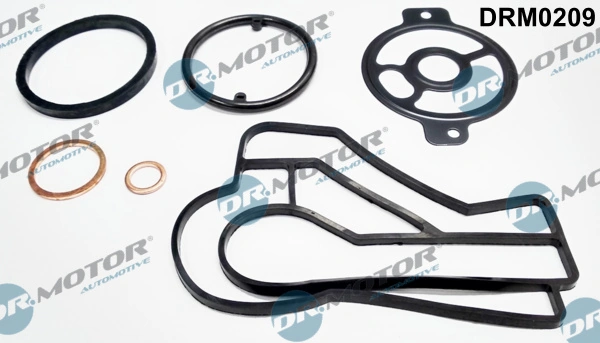 DR MOTOR DRM0209