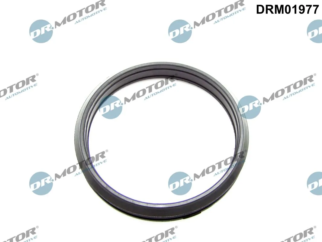 DR MOTOR DRM01977