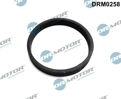 DR MOTOR DRM0258