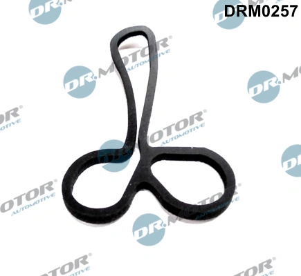 DR MOTOR DRM0257