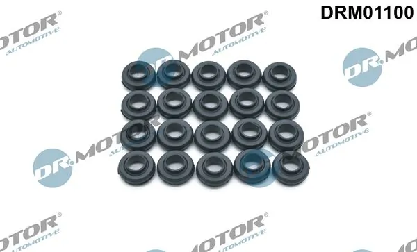 DR MOTOR DRM01100