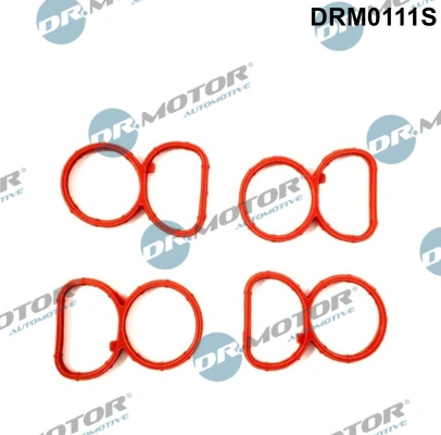 DR MOTOR DRM0111S