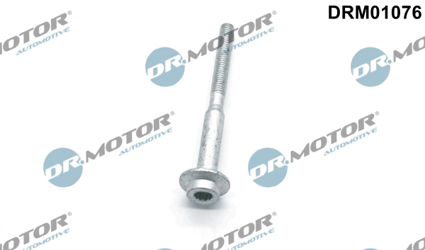 Volkswagen WHT003187