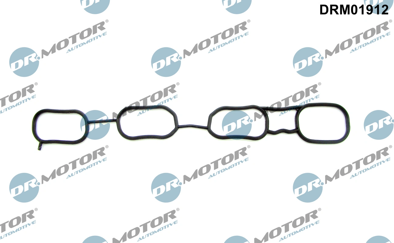DR MOTOR DRM01912