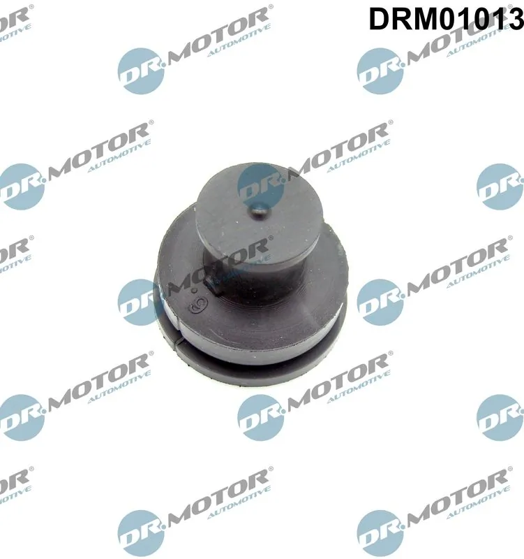DR MOTOR DRM01013