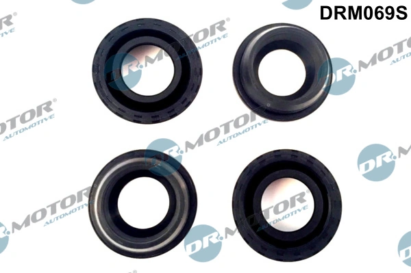 DR MOTOR DRM069S