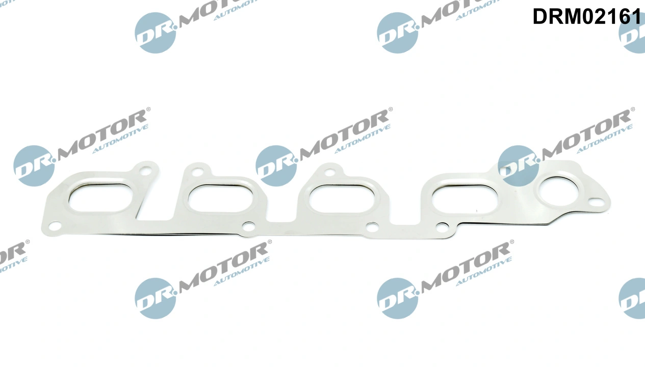 DR MOTOR DRM02161