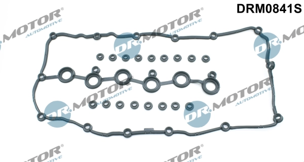DR MOTOR DRM0841S