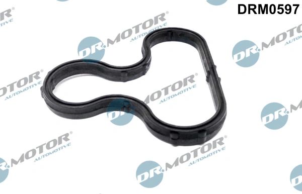 DR MOTOR DRM0597
