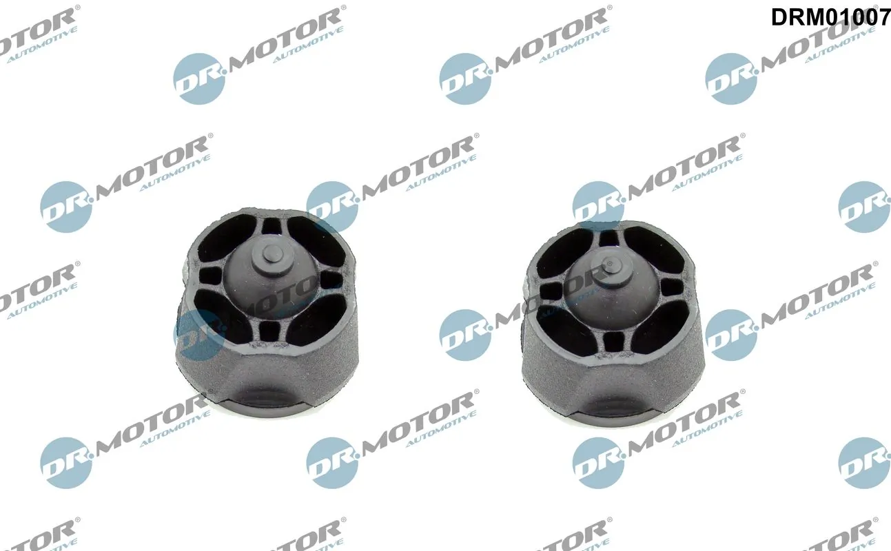 DR MOTOR DRM01007