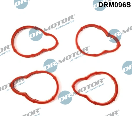 DR MOTOR DRM096S