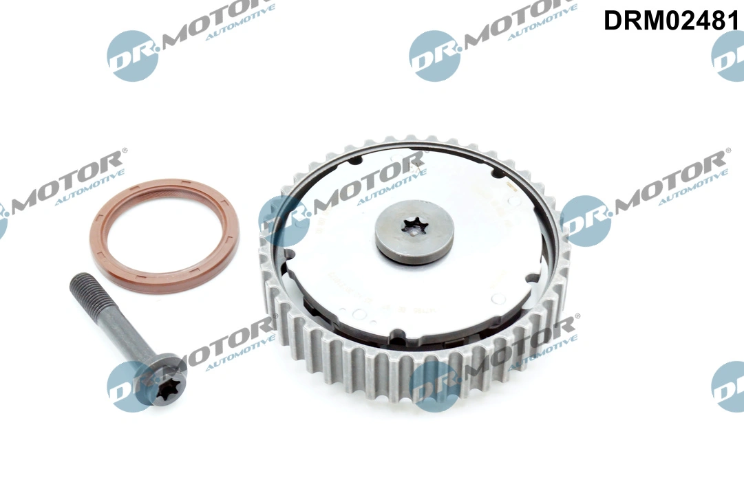 DR MOTOR DRM02481