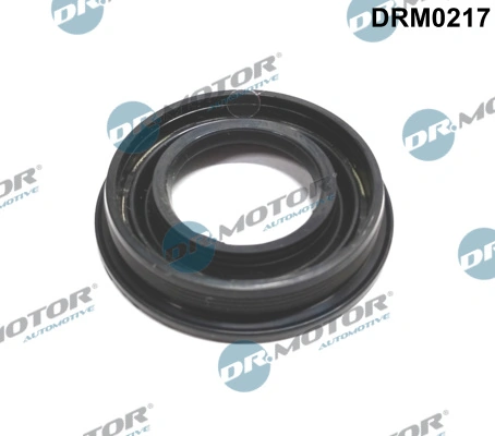 DR MOTOR DRM0217