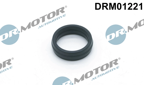DR MOTOR DRM01221