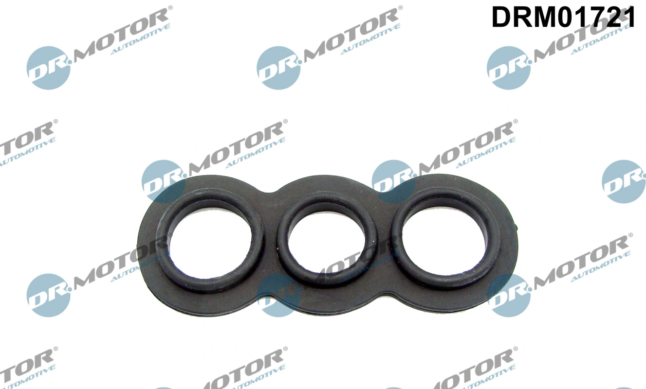DR MOTOR DRM01721