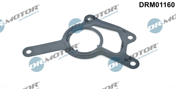 DR MOTOR DRM01160