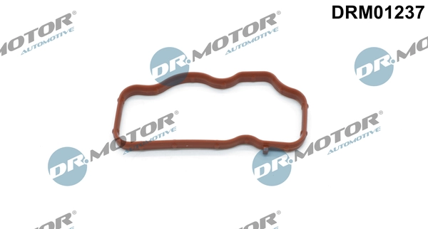 DR MOTOR DRM01237