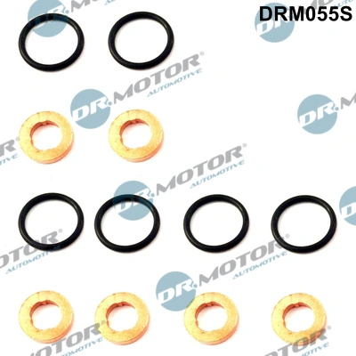 DR MOTOR DRM055S