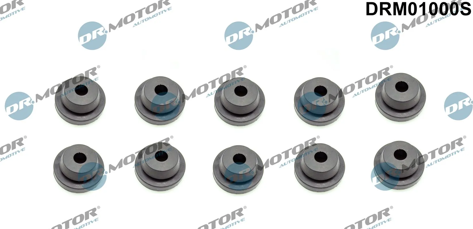 DR MOTOR DRM01000S
