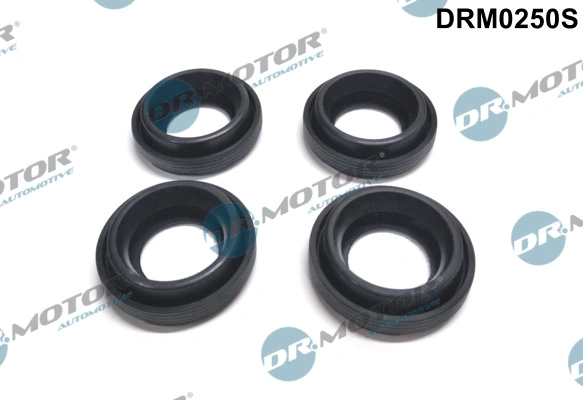 DR MOTOR DRM0250S